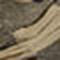 Travertine