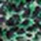 Winter Green