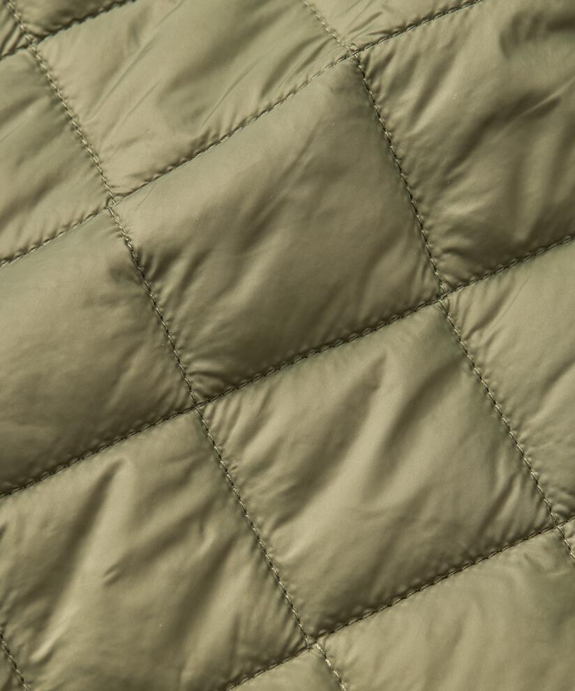 Tawny Coat, Sea Turtle